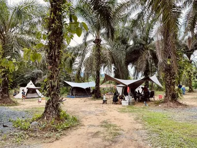 Beratap Sawit Campsite, Maran, Pahang