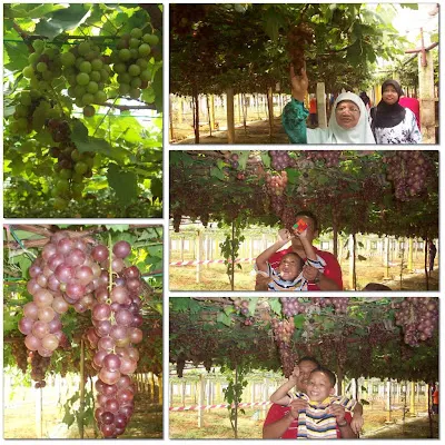 Seri Ternas Resort, Tasik Beris, Kedah