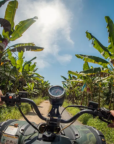 Sinar Eco Resort,Pekan Nanas, Johor