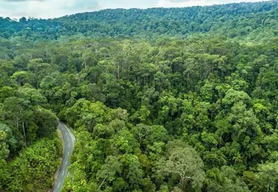 Taman Negeri Rompin Pahang, Pahang